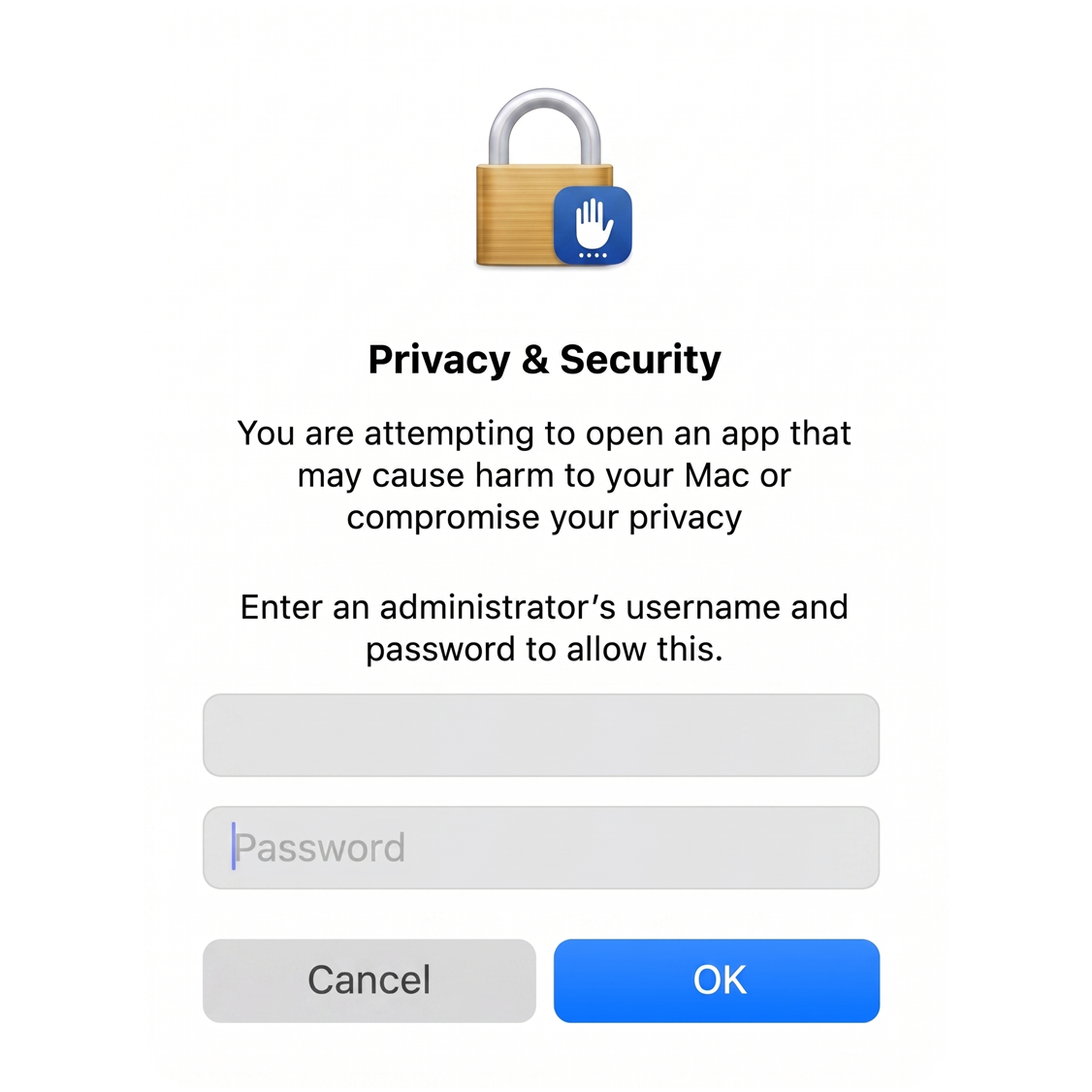 macOS Open Anyway confirmation
