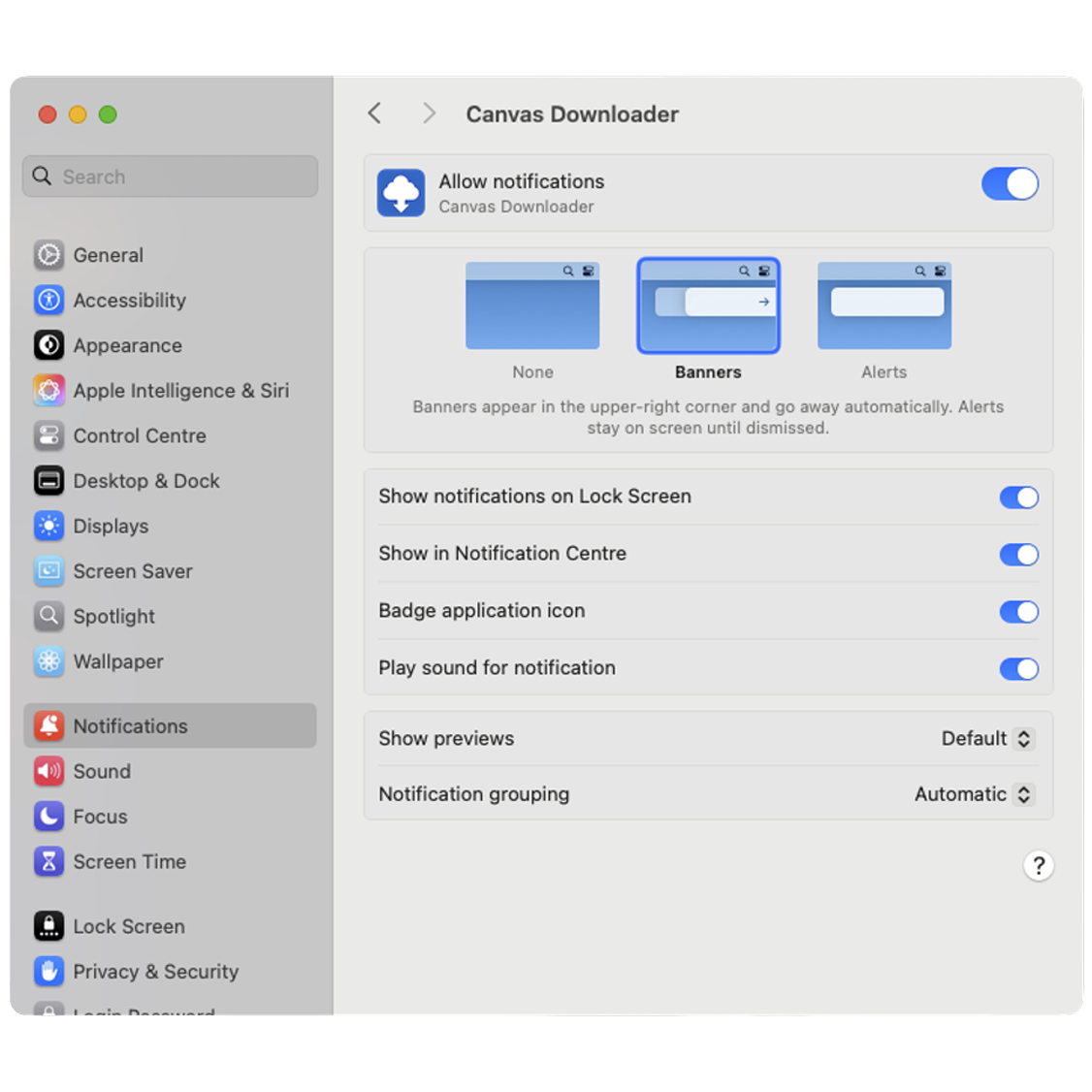 Notifications enabled in macOS Settings